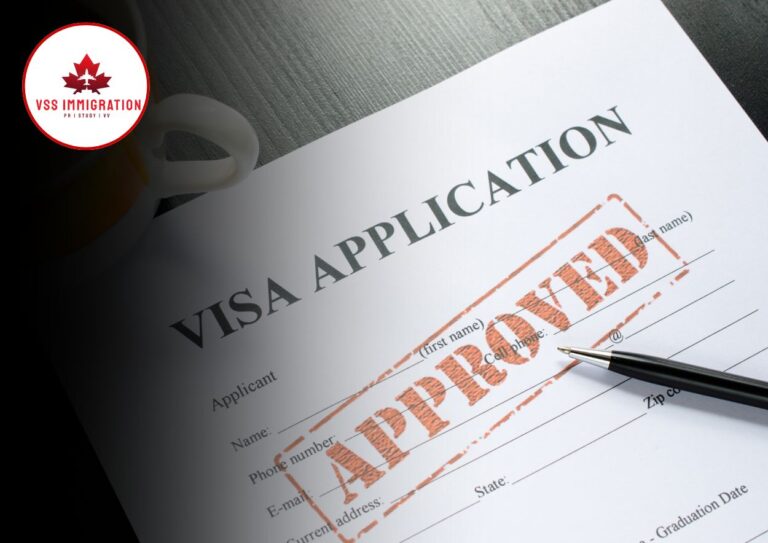 Work Visa 1 vx